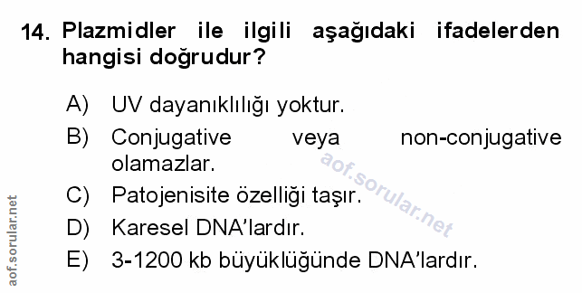 Soru 14