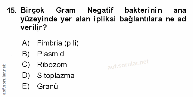 Soru 15