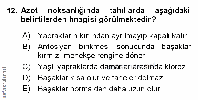 Soru 12