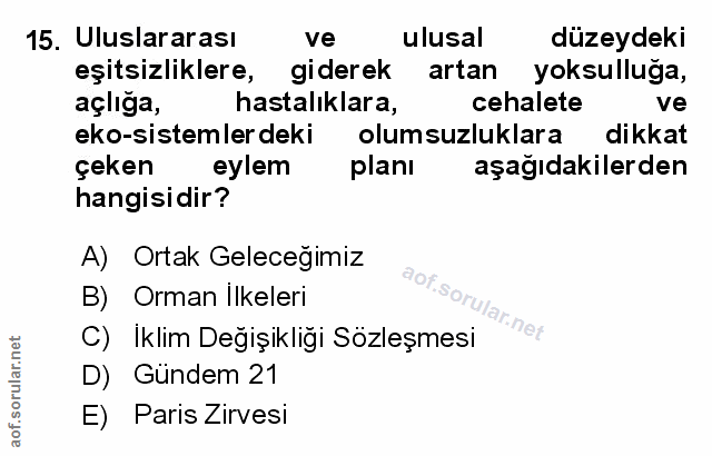 Soru 15