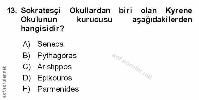 Soru 13