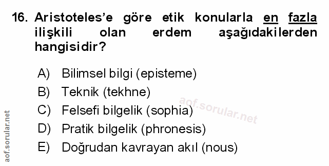 Soru 16