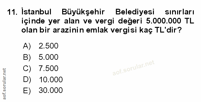 Soru 11