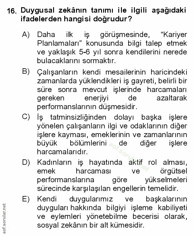 Soru 16
