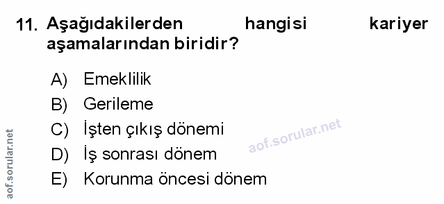 Soru 11
