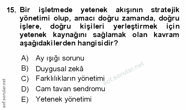 Soru 15