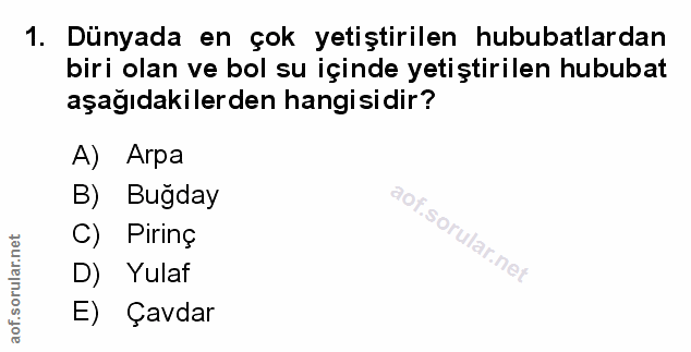 Soru 1