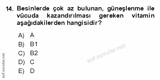 Soru 14