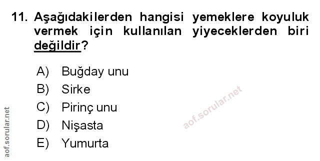 Soru 11