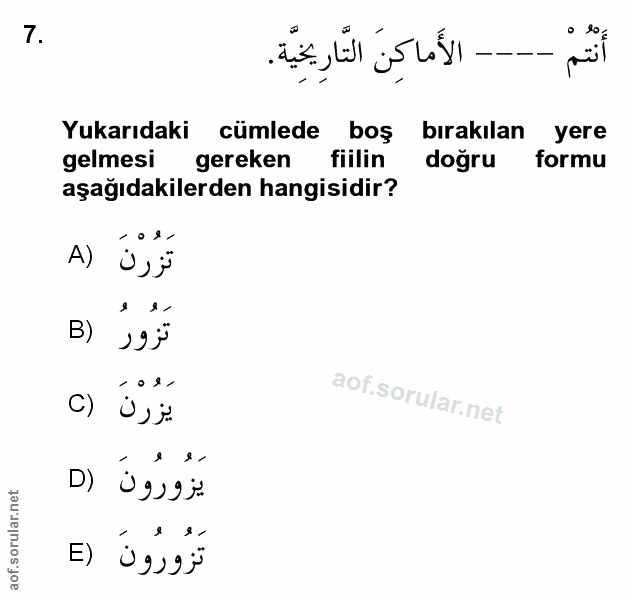 Soru 7
