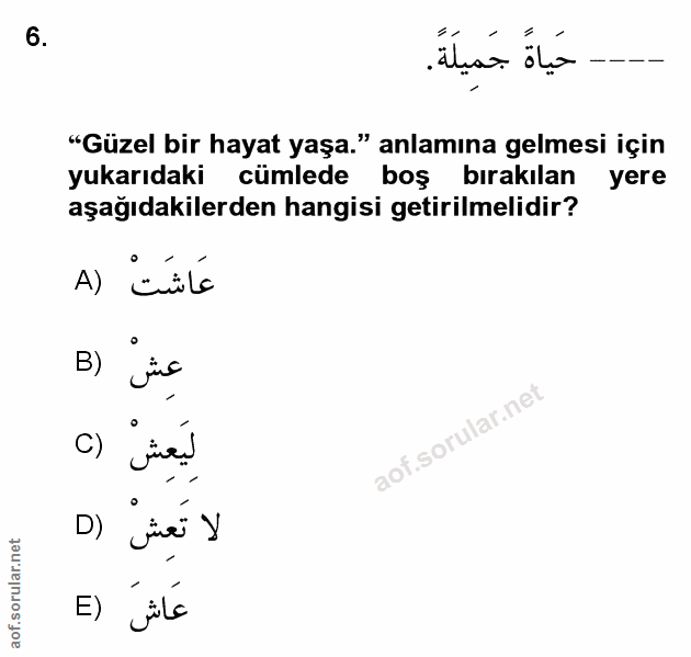 Soru 6