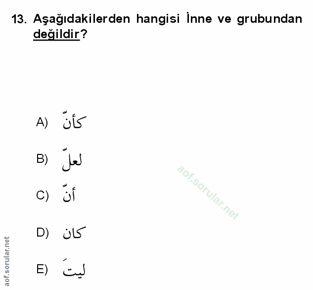 Soru 13
