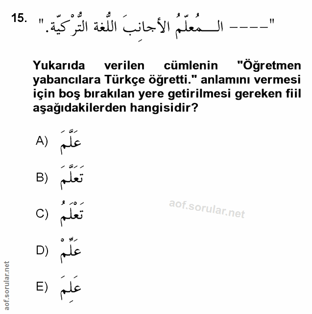 Soru 15