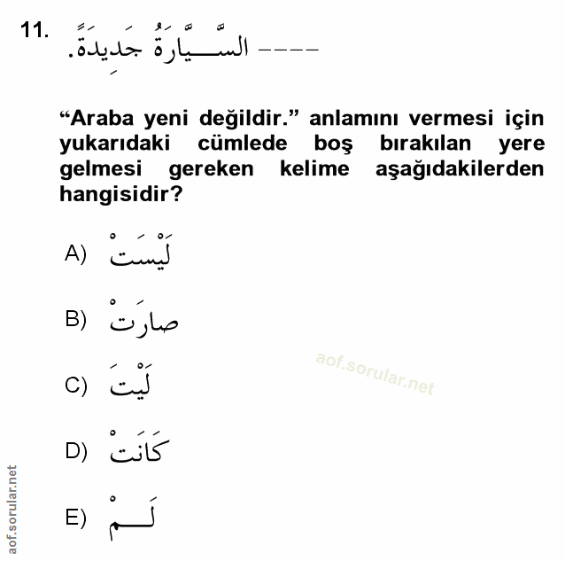 Soru 11