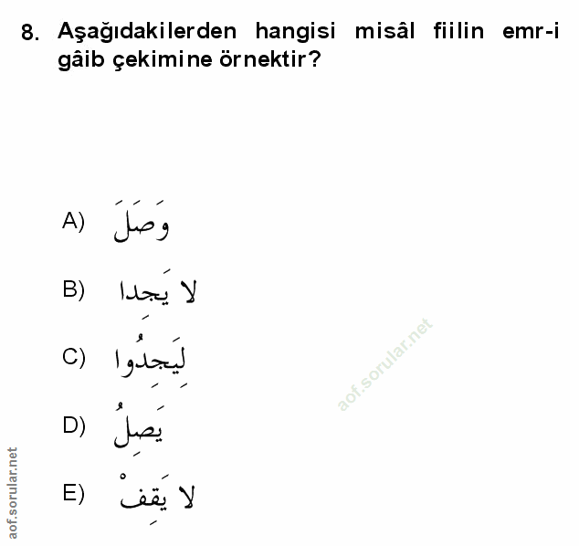 Soru 8