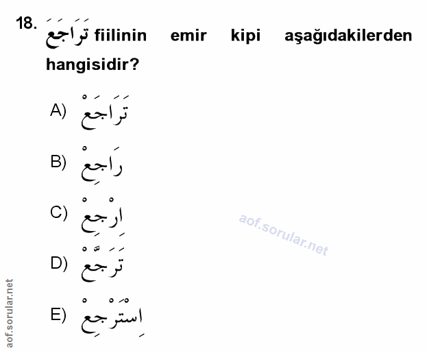 Soru 18