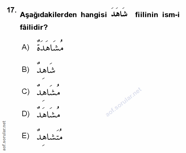 Soru 17