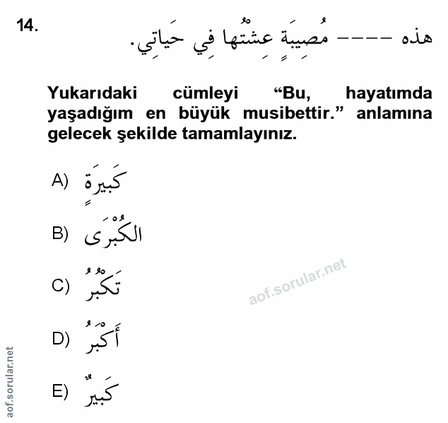 Soru 14