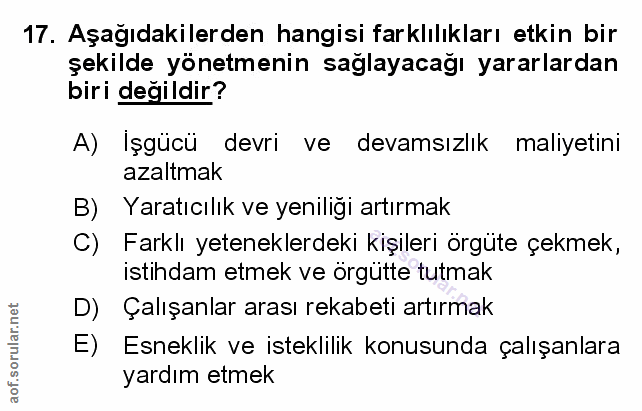 Soru 17