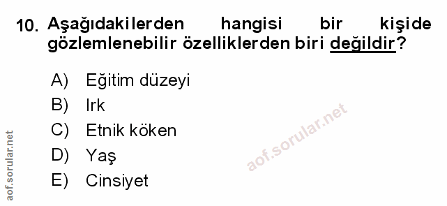 Soru 10