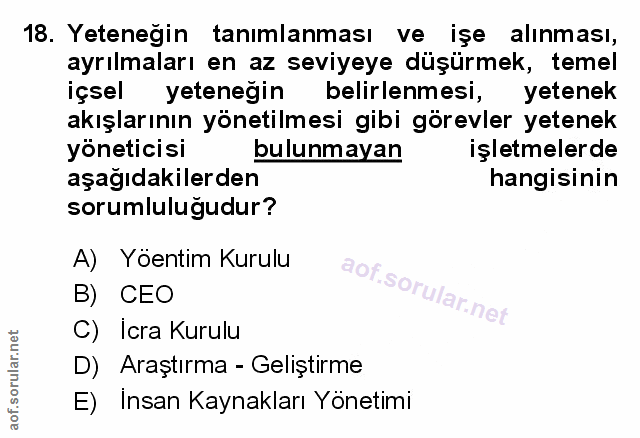 Soru 18