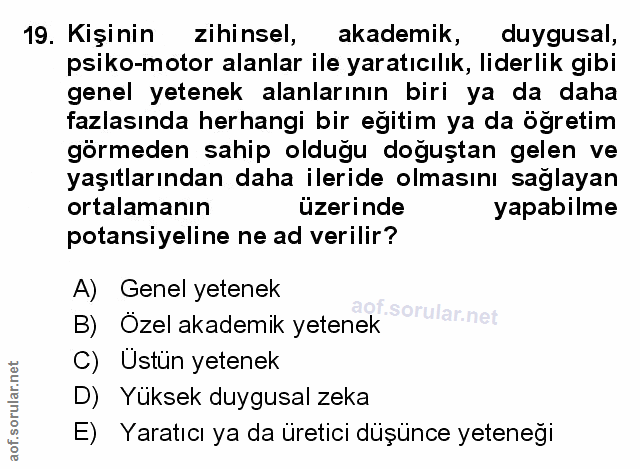 Soru 19