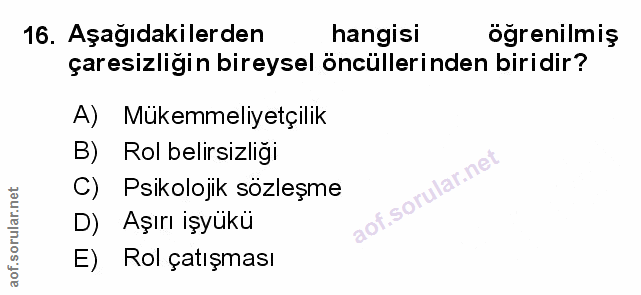 Soru 16