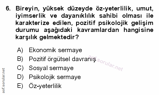 Soru 6