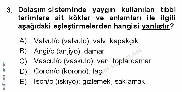 Soru 3
