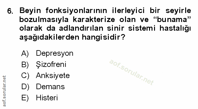 Soru 6