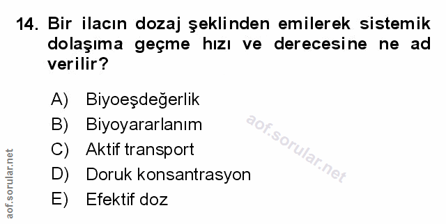 Soru 14