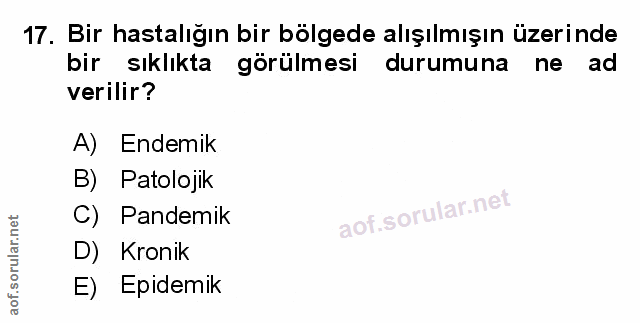 Soru 17