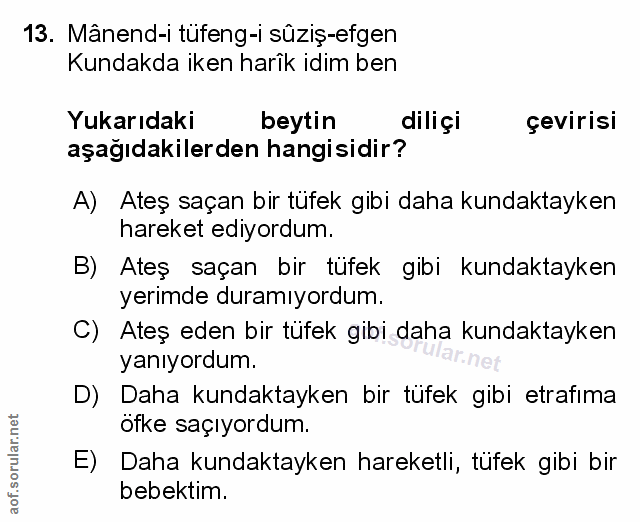 Soru 13
