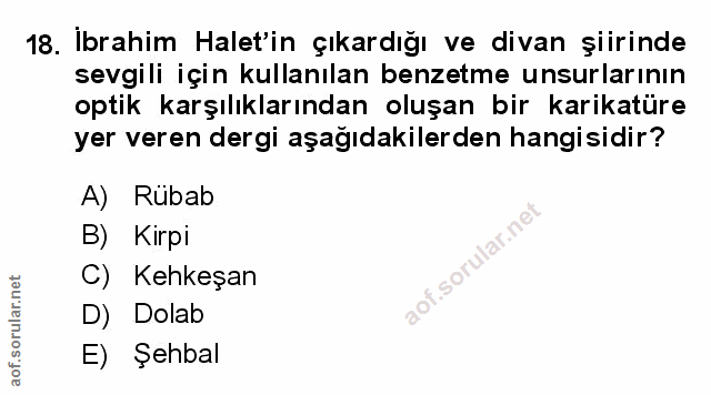 Soru 18