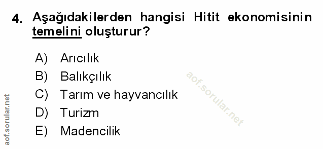 Soru 4