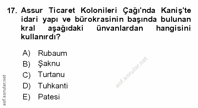 Soru 17