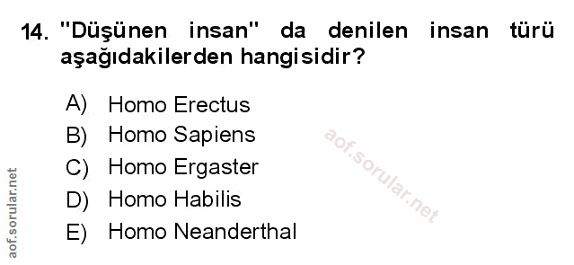 Soru 14