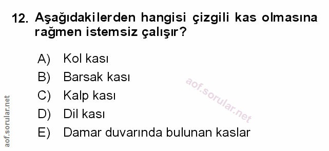 Soru 12