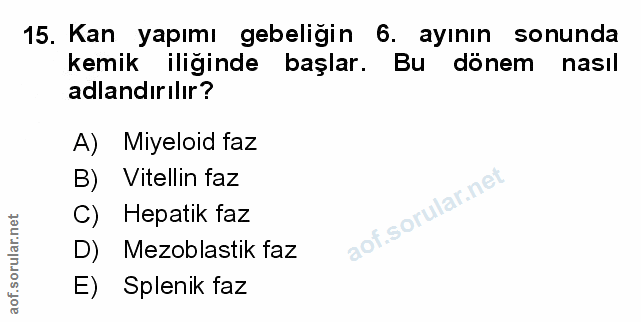 Soru 15