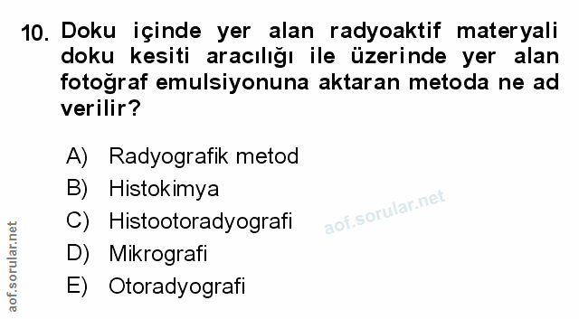 Soru 10