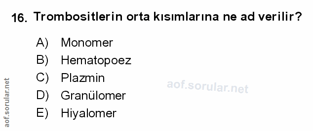 Soru 16