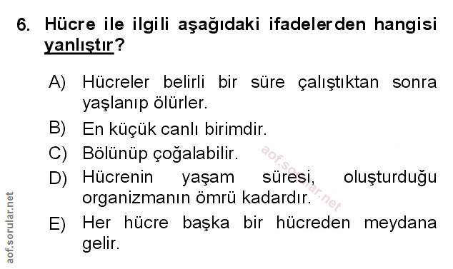 Soru 6