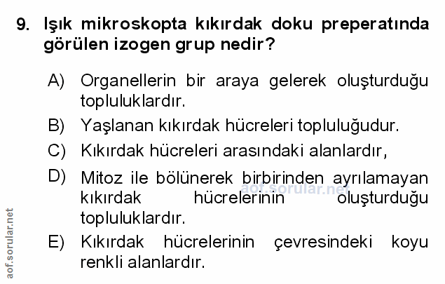 Soru 9