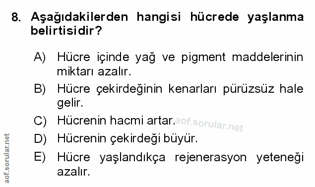 Soru 8