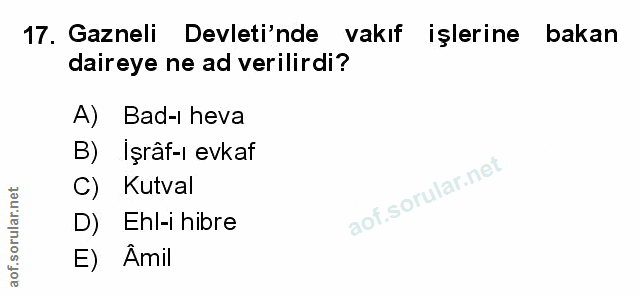 Soru 17