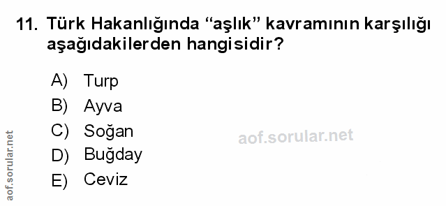 Soru 11