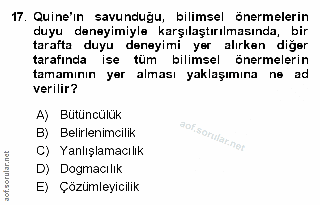 Soru 17