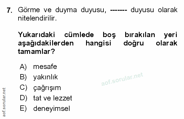 Soru 7