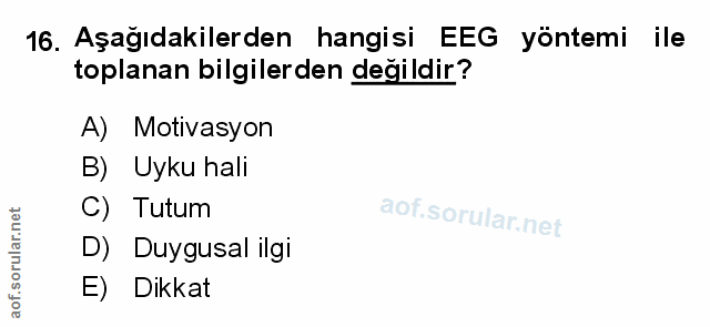 Soru 16