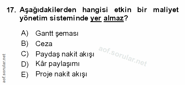 Soru 17